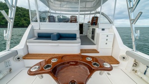 Cockpit and Helm Seating Area