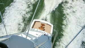 2018 Viking 72 Convertible thumbnail 61