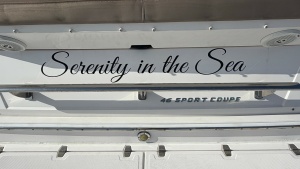 Serenity in the Sea 46ft Regal Yacht For Sale