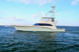 Photo 6226282 for 2001 Donzi 73 Sport Yacht  2001 Donzi 73' Sport Yacht  Port Profile (2)