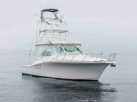 SHOW TIME 38ft Cabo Yacht For Sale