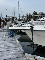 39ft Carver Yacht For Sale