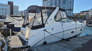 31ft Maxum Yacht For Sale