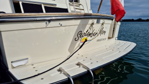 48ft Carver Yacht For Sale