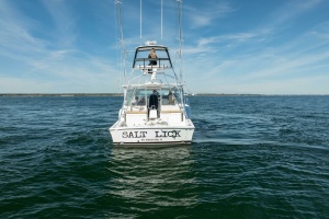 Salt Lick 41ft Albemarle Yacht For Sale
