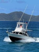 Double Diamond 31ft Bertram Yacht For Sale
