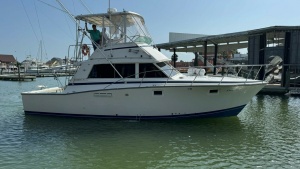 Cast Off II 38ft Bertram Yacht For Sale