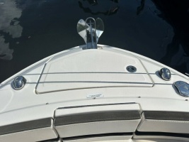 SALES THERAPY 31ft Sea Ray Yacht For Sale