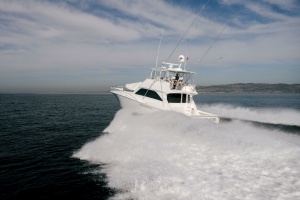 SPECTACULAR BID 56ft Viking Yacht For Sale