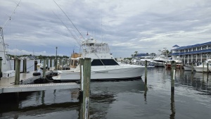 Wild Life 45ft Viking Yacht For Sale