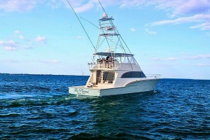 Photo 6226283 for 2001 Donzi 73 Sport Yacht  2001 Donzi 73' Sport Fish  Transom