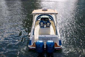 29ft Chris Craft Yacht For Sale