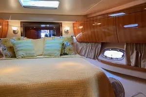 2009 Regal 5260 thumbnail 33