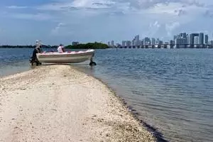 2022 Ocean Craft Marine 7.1 M Amphibious thumbnail 14