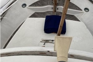 ALO 40ft Albin Yacht For Sale