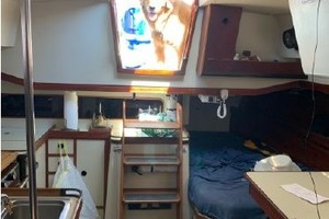 Resolute 37ft C amp C Yacht For Sale