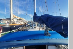Bacchus 30ft Catalina Yacht For Sale
