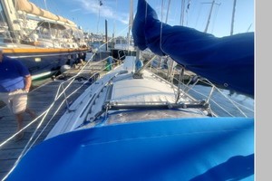 Bacchus 30ft Catalina Yacht For Sale