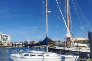 Bacchus 30ft Catalina Yacht For Sale