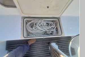 Bacchus 30ft Catalina Yacht For Sale