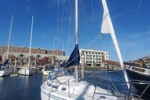 Bacchus 30ft Catalina Yacht For Sale
