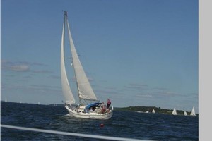 Bacchus 30ft Catalina Yacht For Sale