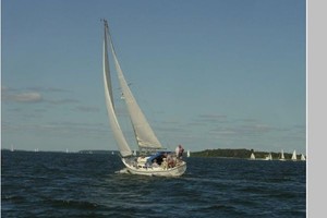 Bacchus 30ft Catalina Yacht For Sale