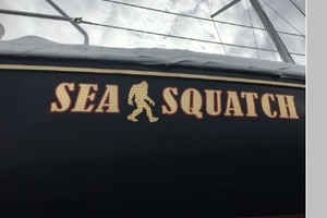 Sea Squatch 42ft Catalina Yacht For Sale