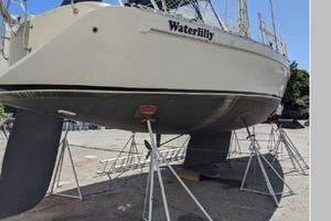 Waterlilly 40ft Freedom Yacht For Sale