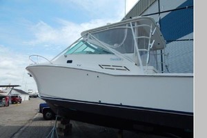 Dauntless 31ft Cabo Yacht For Sale