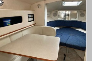 Mental Health Day 27ft Sea Ray Yacht For Sale