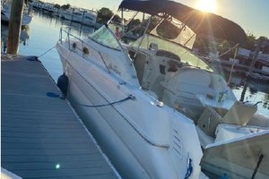 Mental Health Day 27ft Sea Ray Yacht For Sale