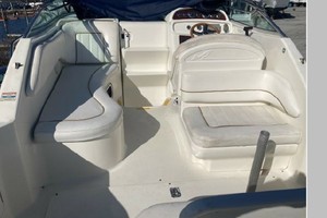 Mental Health Day 27ft Sea Ray Yacht For Sale