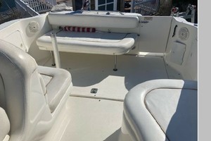 Mental Health Day 27ft Sea Ray Yacht For Sale