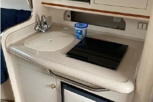 Mental Health Day 27ft Sea Ray Yacht For Sale