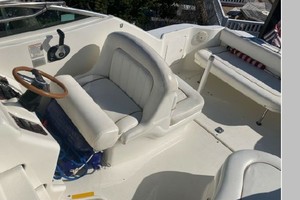 Mental Health Day 27ft Sea Ray Yacht For Sale