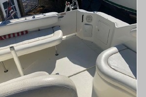 Mental Health Day 27ft Sea Ray Yacht For Sale