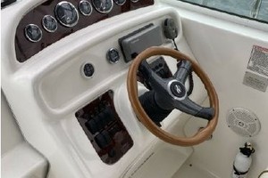 Mental Health Day 27ft Sea Ray Yacht For Sale