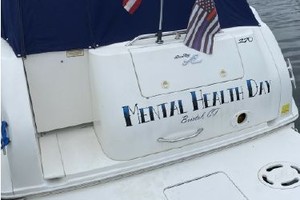 Mental Health Day 27ft Sea Ray Yacht For Sale