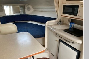 Mental Health Day 27ft Sea Ray Yacht For Sale