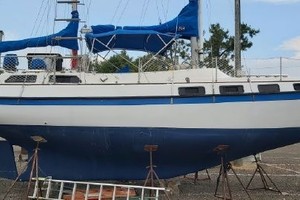 NIAMY 36ft Morgan Yacht For Sale