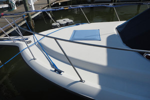 Picture of Buy The Sea