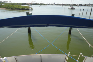 Picture of Buy The Sea