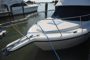 Picture of Buy The Sea