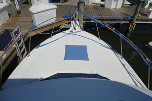 Picture of Buy The Sea