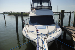 Picture of Buy The Sea