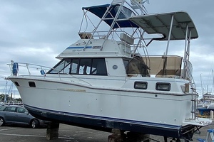 WAVE FUNCTION 32ft Carver Yacht For Sale