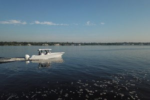 Photo 1738607 for 2021 Sea Fox 368 Commander Triple T 