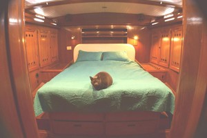 Photo 1738868 for 1989 Northwind  Fandango 