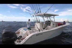 Photo 1738985 for 2019 Sea Fox 288 Commander  